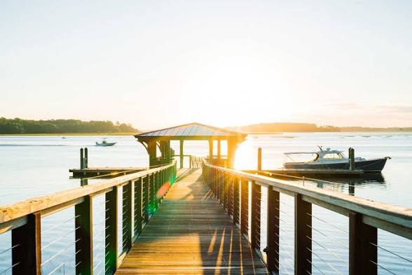 Lowcountry landscape